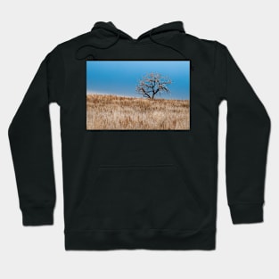 Grasslands Hoodie